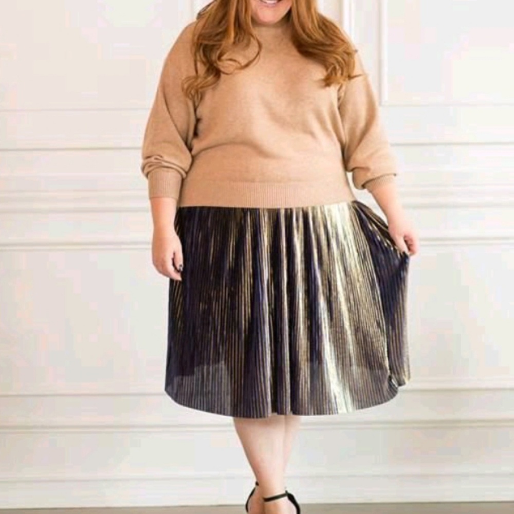 Navy and Gold Pleated Skirt